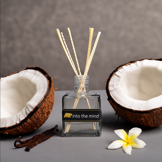 Mikado coco vainilla