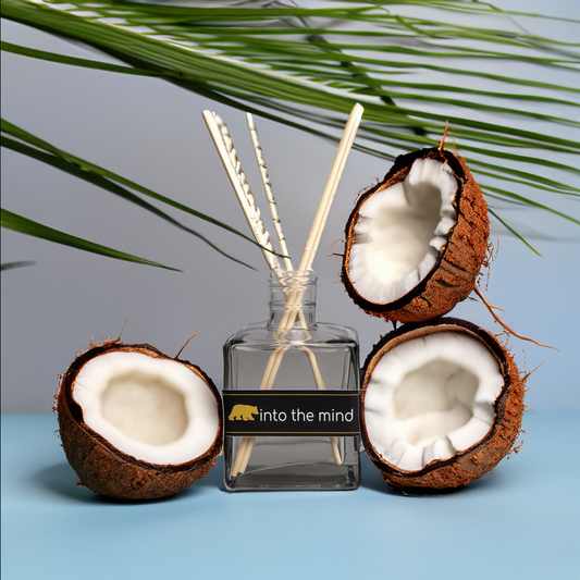Mikado coco