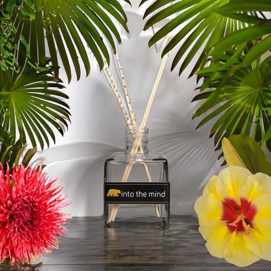 Mikado hawaian