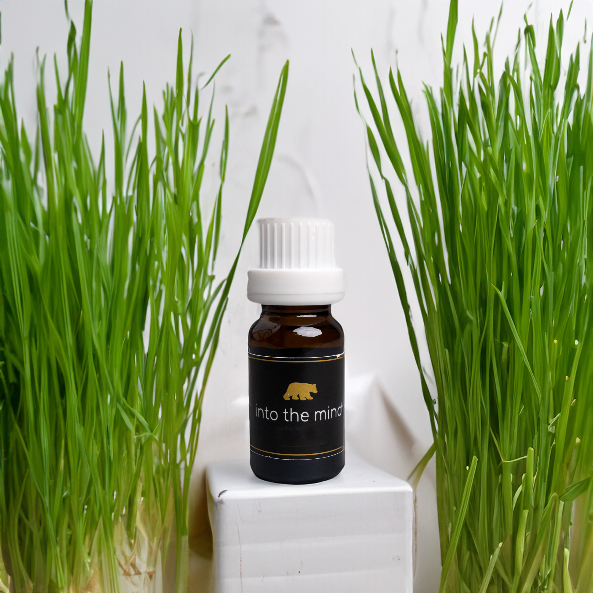 Esencia de lemon grass