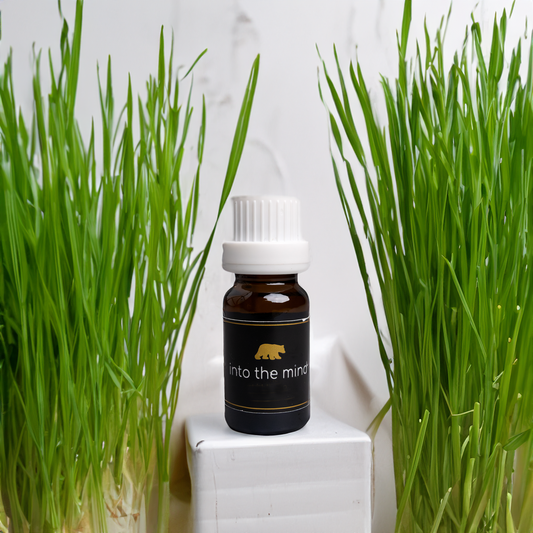 Esencia de lemon grass