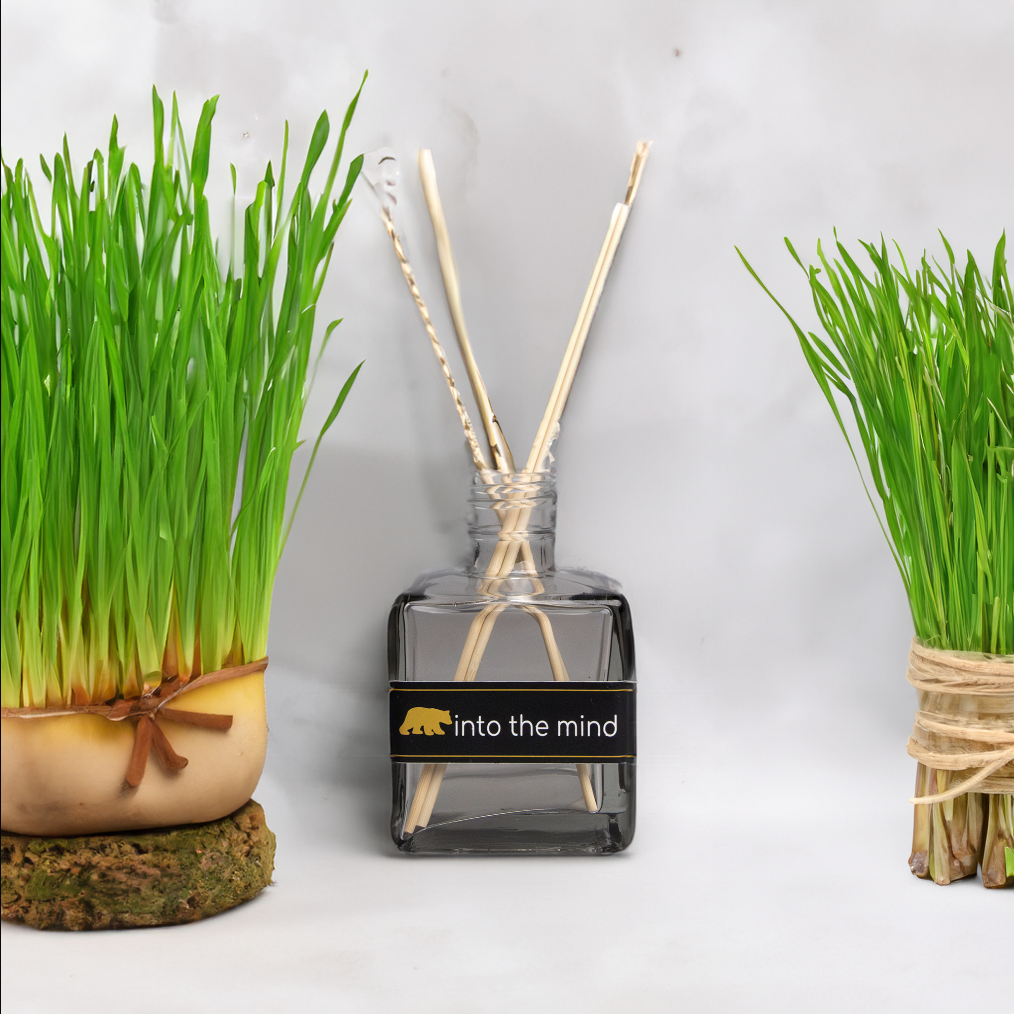 Mikado lemon grass
