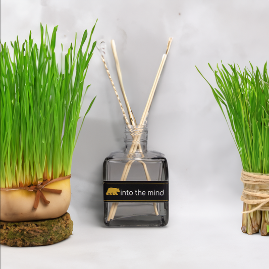 Mikado lemon grass