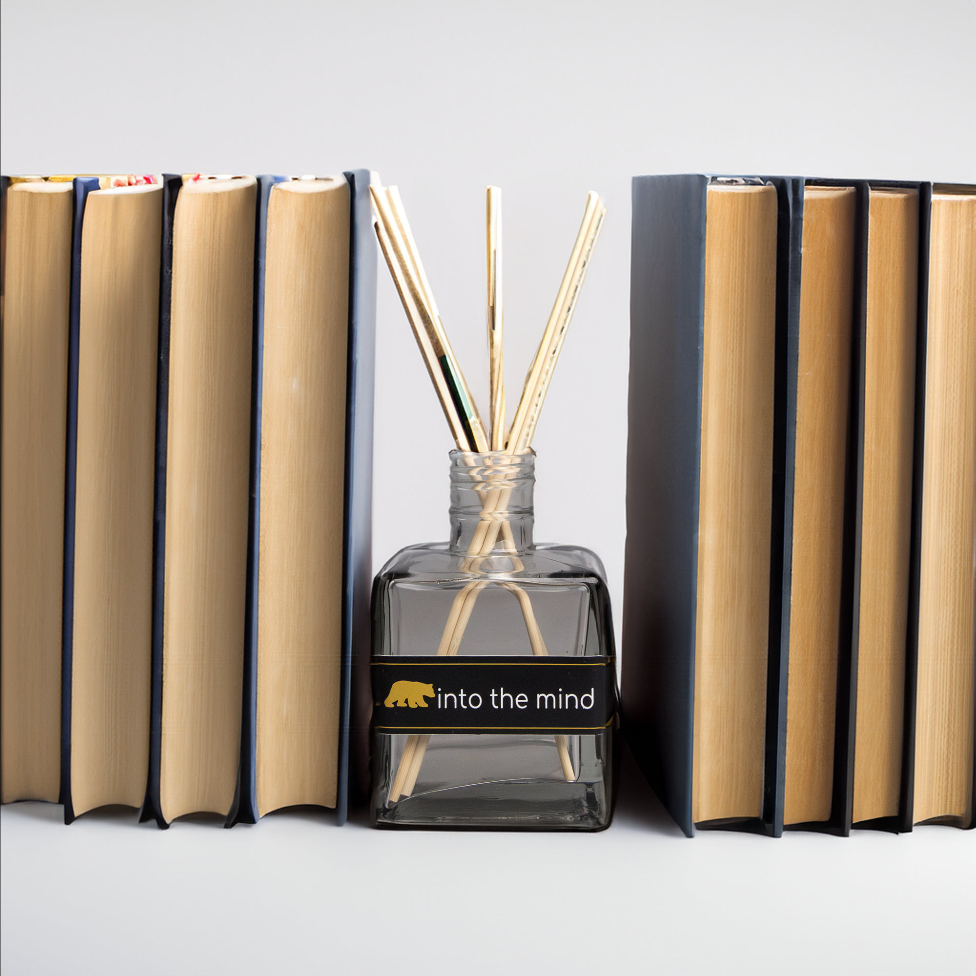 Mikado libro viejo