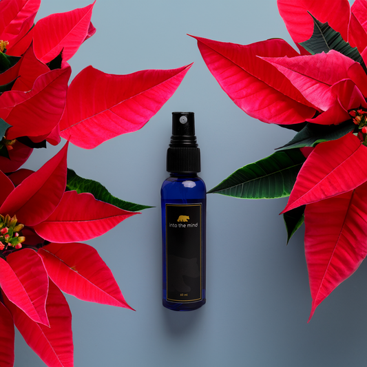 Spray nochebuena